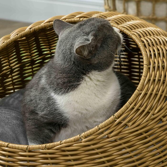 Будиночок для котів PawHut з ротангу з подушкою, котяче ліжко-купол для котів до 4 кг, Ø50×31 см, світло-коричневий, для дому