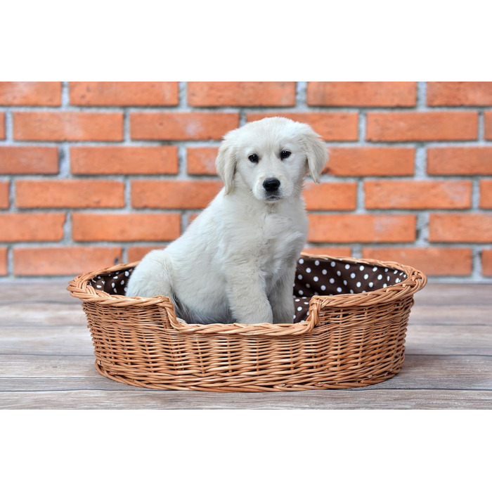 Корзина для собак та котів з плетеної лози e-wicker24, 75x75 см, з подушкою