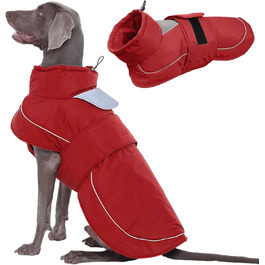 колір: гниль