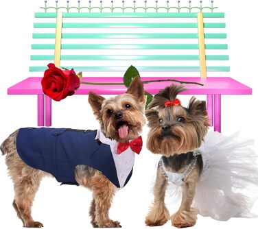 ЕлегантнийSmoking для собак середніх та великих порід, костюм смокінг, набір для вечірки/весілля з знімним коміром, комплект для косплею, відпочинку (2XL, синій)