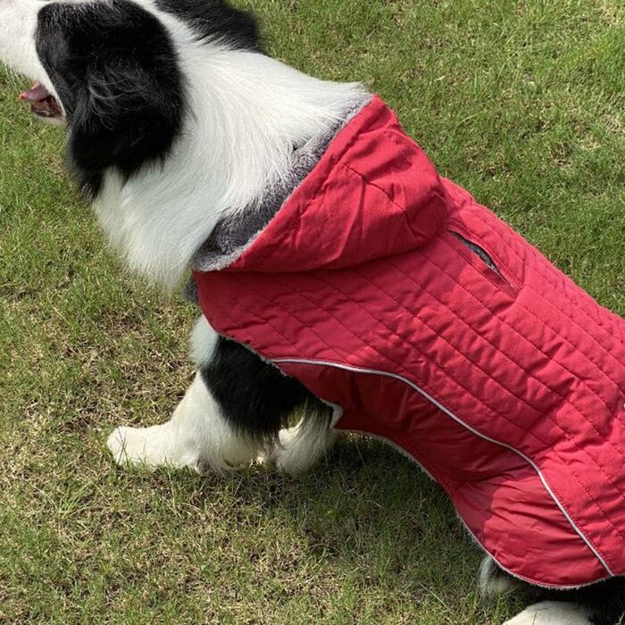 Зимова куртка для собак, теплий пуховик-мандель для тварин, костюм для собак, червоний, розмір M (43-53 см)