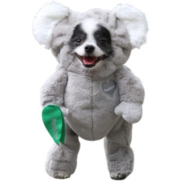 колір: коала