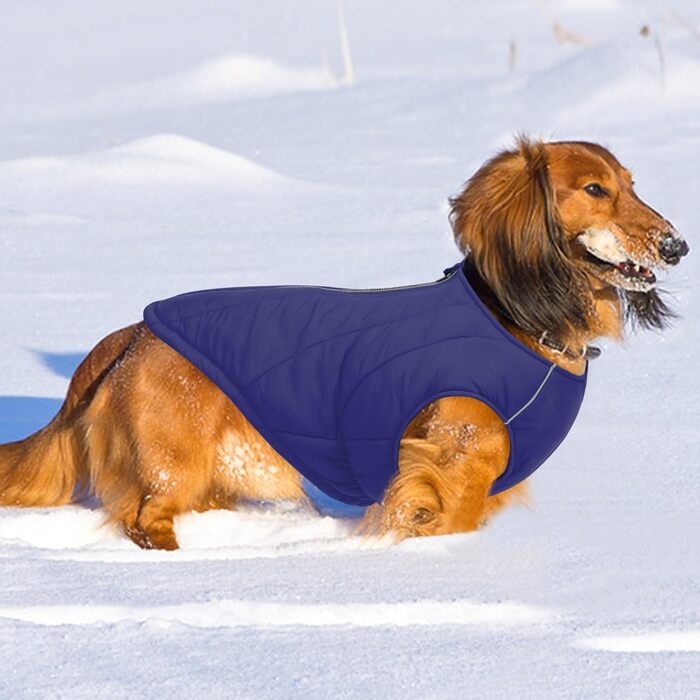 Водонепроникна куртка для собак - тепла зимова модель з блискавкою для малих, середніх та великих собак. Синій колір, розмір S.