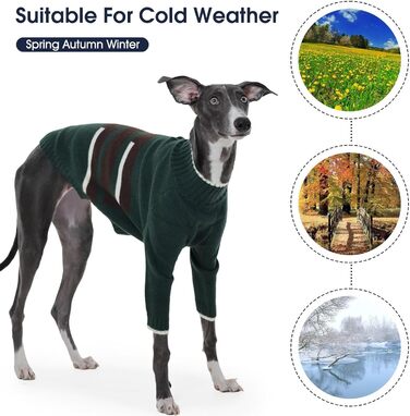 Светр з капюшоном для собаки Windhund, теплий італійський грехаунд, віппет, термо одяг для собак, зелений, XS