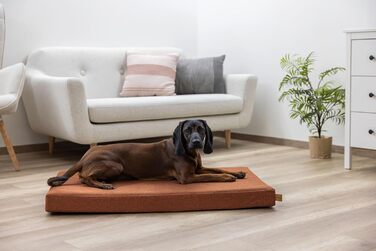 Матрац для собак Kerbl Oliver з піною пам'яті, ортопедичний, для собак з проблемами суглобів, знімний чохол, Made in Italy, коричневий, 80x50x8 см / 50x80x8 см