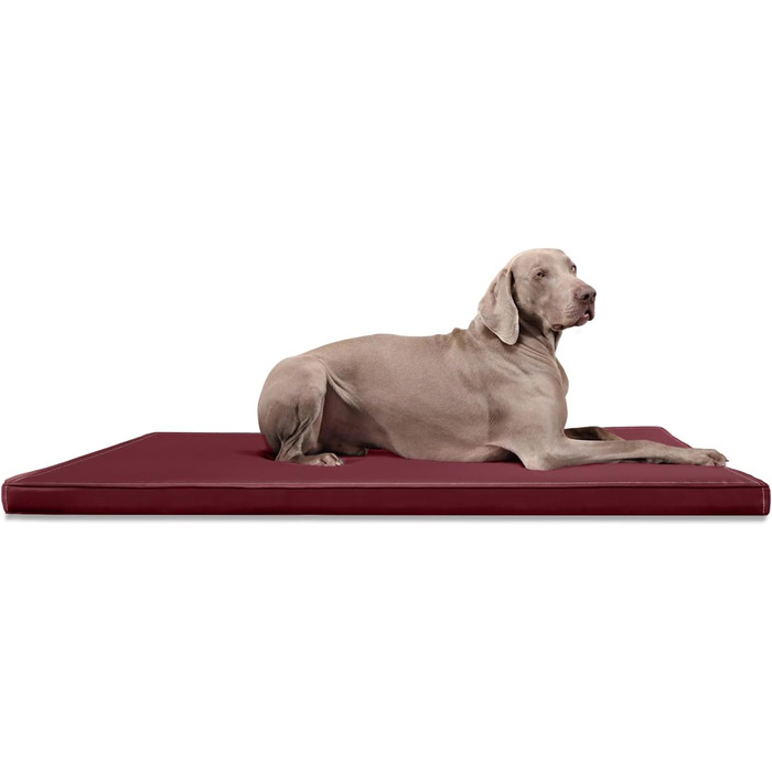 Ортопедичний лежак для собак Tierlando Carlos Ortho-Medic з віскоеластичної піни та штучної шкіри, 80x60 см, темно-червоний