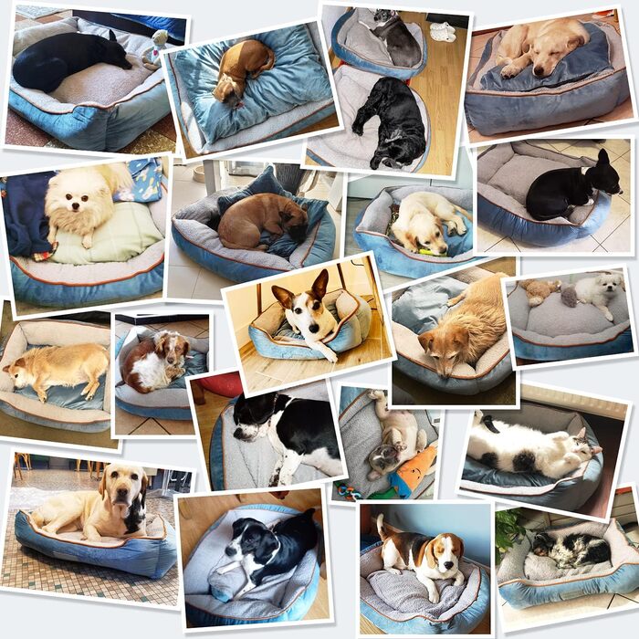 Лежак для собак Docatgo з двосторонньою подушкою, 80x60x26 см, машинне прання, для середніх і великих собак