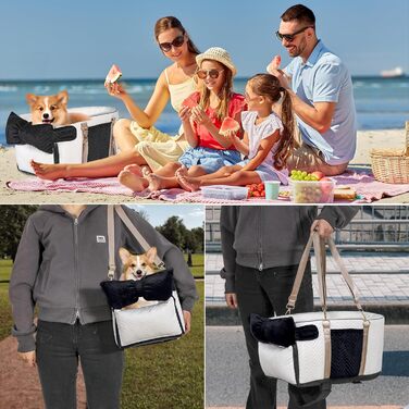 Автокрісло для собак - підставка для тварин у машину з ременем безпеки та м'яким подушками, для собак та котів до 6,8 кг (білий)