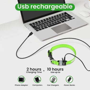 Світловідбиваючий нашийник для собак MASBRILL з LED, USB-C, регульований, водонепроникний, 3 режими світла, розмір M, колір зелений