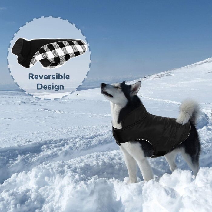 Теплий зимовий одяг для собак CITEITOILE з захистом живота, світловідбиваючими елементами, отвором для повідка, XXL (Чорний)