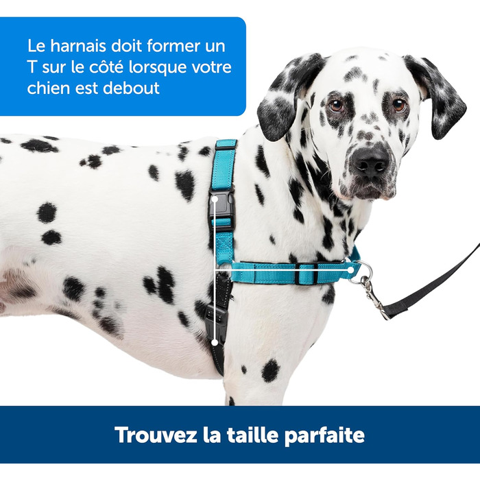 Шлейка для собак PetSafe Easy Walk Deluxe, велика, океансько-блакитна/чорна, з лінією 1,8 м, міцна, з м'якою підкладкою