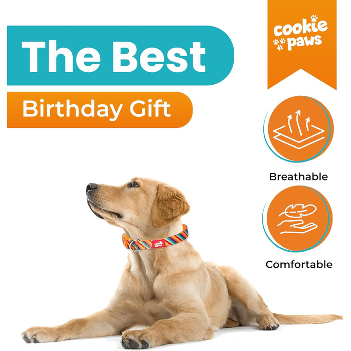 Нашийник і повідок для собак Cookie Paws, м'який неопрен, геометричний дизайн, великий розмір, зручний та довговічний