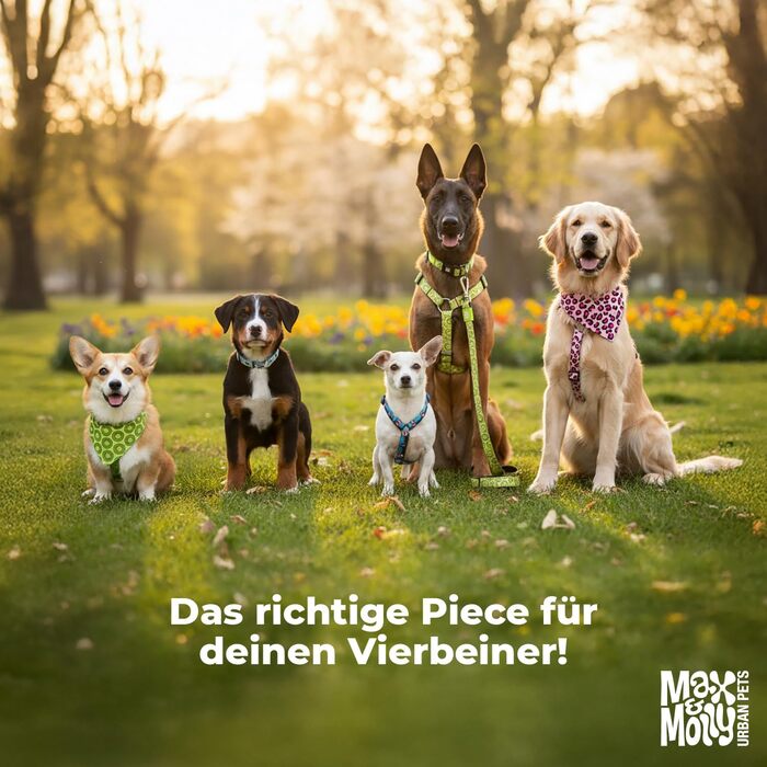 Водонепроникний дощовик для собак Max & Molly, M, Jade - спортивна куртка з регульованим поясом, світловідбиваючий, з отвором для шлейки