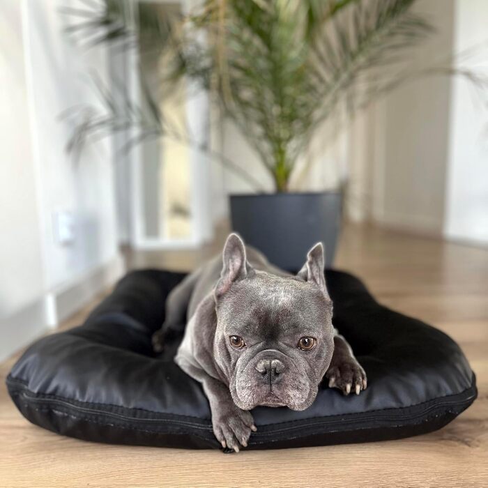 4L Textil Ella - Лежанка для собак великих порід, штучна шкіра, водостійка, 110x90 см, чорна