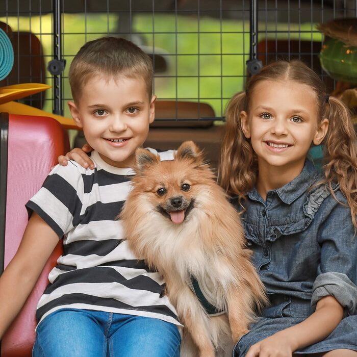 Сітка для собак у машину Relaxdays, універсальна, регульована ширина, чорна, 40 x 92-157 см