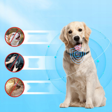Корекційний нашийник для собак — електричний тренувальний нашийник для дисципліни та заспокоєння