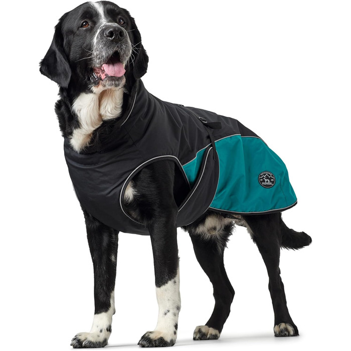 HUNTER Hundemantel Uppsala Allrounder: водонепроникний, вітрозахисний, знімний підклад, розмір 35, антрацит/петроль