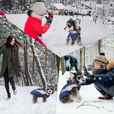 Зимовий теплий одяг для собак, куртка Kates Wetter, вітронепроникна, світловідбиваюча, флісова, з отвором для шлейки, тепла флісова жилетка для собак, розмір X, куртка для собак на блискавці, зимовий костюм для собак, зелений (L, блакитний)