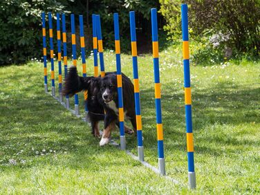 Набір для аджиліті для собак PROCYON Doggy: професійний слалом