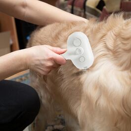 Бурштук для грумінгу собак Furrybasics: для здорового хутра та розпушування | Практична парова щітка для догляду за шерстю