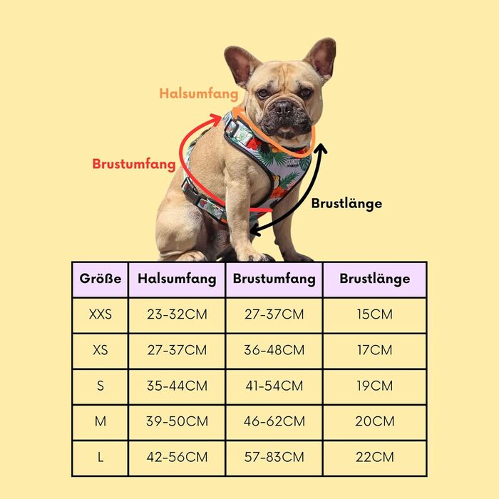 Нашийник для собак на Різдво (S) Hohoho | М'який нашийник Arizona Hotdogs | Леєчка нейлон 1,5м | Різдвяний нашийник для маленьких собак