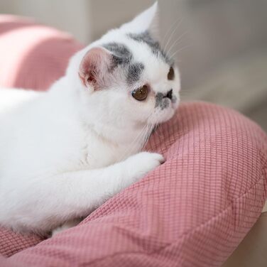 Кішка-софа CheerPals у формі квітки, 55x55 см, рожева. М'яке ліжко для котів з пружним наповнювачем. Меблі для котів для сну та відпочинку.