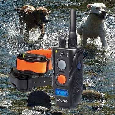 Електричний набір нашийників Dogtra 642C TRESER PSA для двох собак