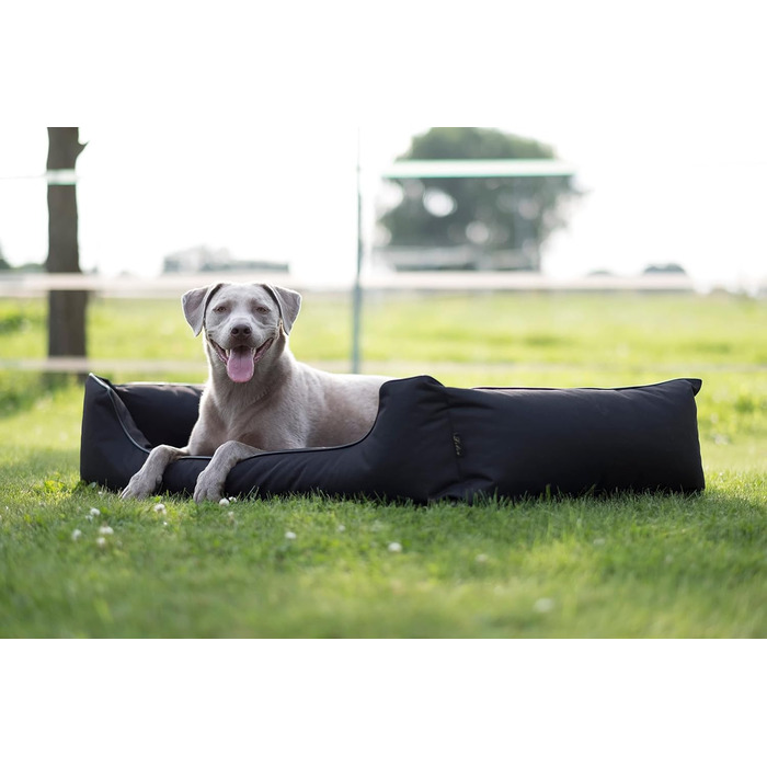 Лебон - Ортопедичне ліжко для собак Паула Плюс, Чорний колір - 3 розміри (80, 100, 120 см), з блискавкою, для прання, легко чиститься, водовідштовхувальне (XL)