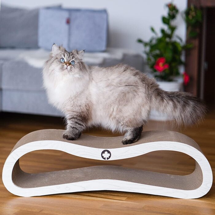 Когтеточка для котів CanadianCat Orbit, світло-сіра, дерев'яна, картонна з котячою м'ятою, 84x24x23 см