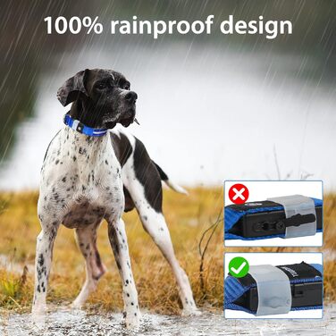 Світлодіодне нашийник для собак Masbri з підзарядкою, водонепроникний, з 3 режимами світіння, безпечний, для великих собак, (L, Синій)