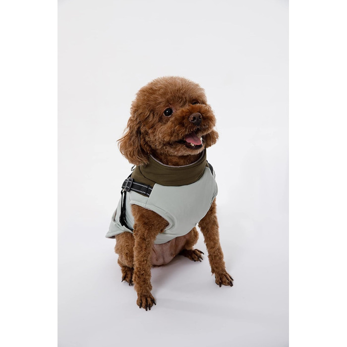 Водонепроникний теплий зимовий одяг для собак: куртка, жилет, плащ для маленьких та середніх порід, зелений