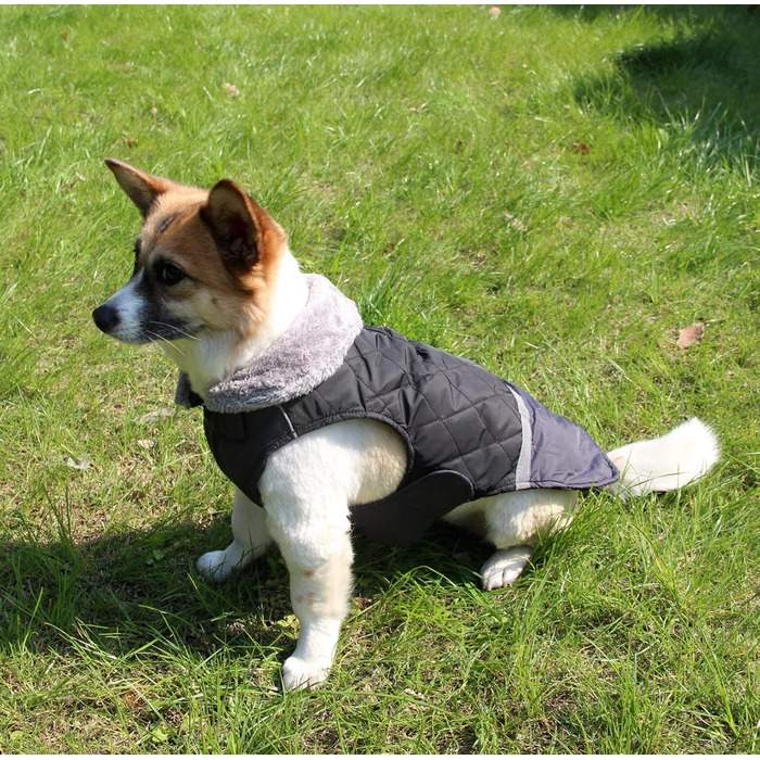 Водонепроникний теплий зимовий одяг для собак, Blu, S - JoyDaog