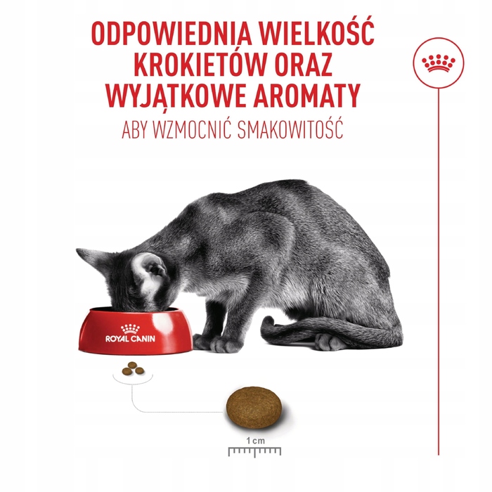 Сухий корм для вибагливих котів Royal Canin FHN Cat Exigent Fussy, 10 кг