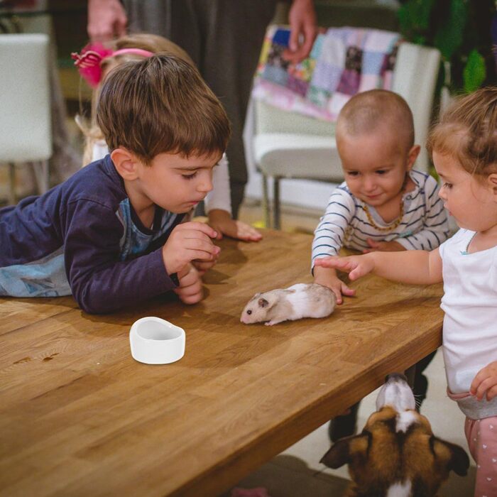 Набір мисок для гризунів Ipetboom (2 шт.) - білі миски для води та їжі для хом'яків, кроликів, морських свинок, мишей (середній)