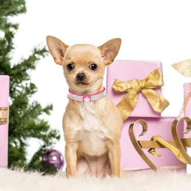 Елегантний нашийник та поводок для собак HALFSUMO з діамантами, з м'якого велюру та шкіри, регульований, для малих та середніх порід, рожевий колір