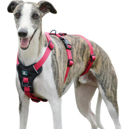 колір: росаро