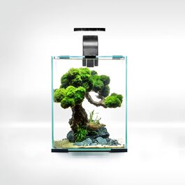 Акваріумний набір Aquael Shrimp Set SMART D&N 10 л, чорний, для креветок, енергозберігаючий
