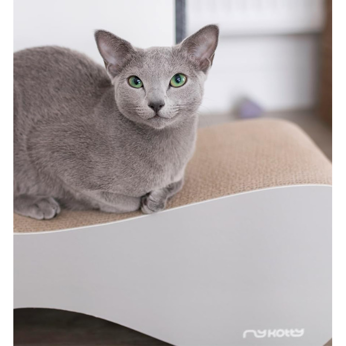 Котячий будиночок myKotty VIGO – міцний когтетоп для котів – ідеально для ігор, відпочинку та заточування кігтів – безпечний та нетоксичний – 71x21x25 см – сірий