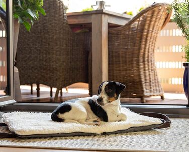 Sleepy Fox® Преміум-ліжко для собак у подорожах - портативний, складаний килимок для годування собак у ресторанах з зручними плечовими ременями - красивий та практичний (M/L, Сірий)