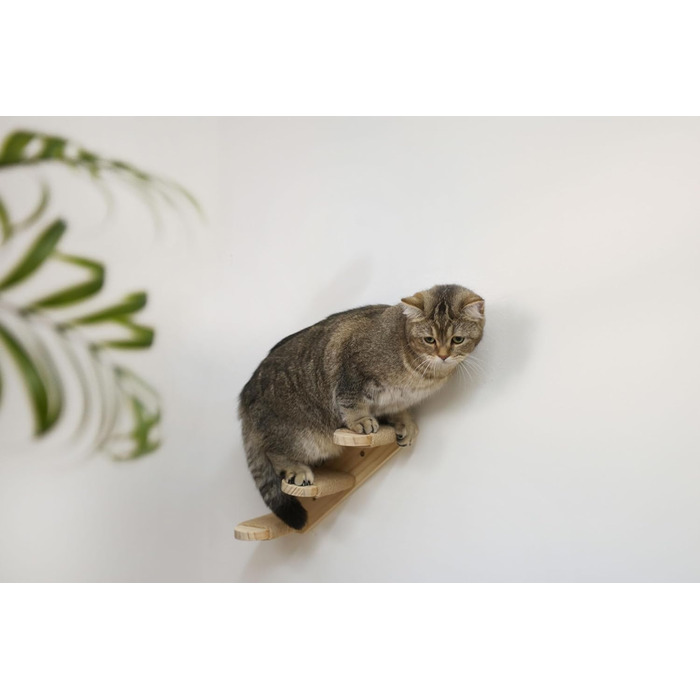 Котяча драбинка Kerbl з натуральної деревини, 38x16,5 см, для стіни, з джутом, для котів, макс. 6 кг