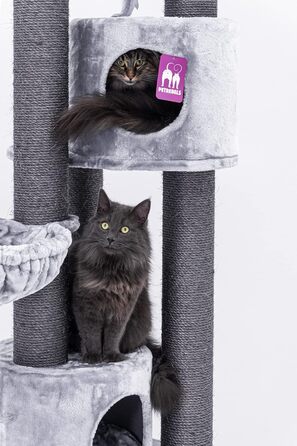 Дряпка для котів Petrebels Charlotte 180 см, преміум-якість, з гамаком, товсті стовпи Ø12 см, сіра