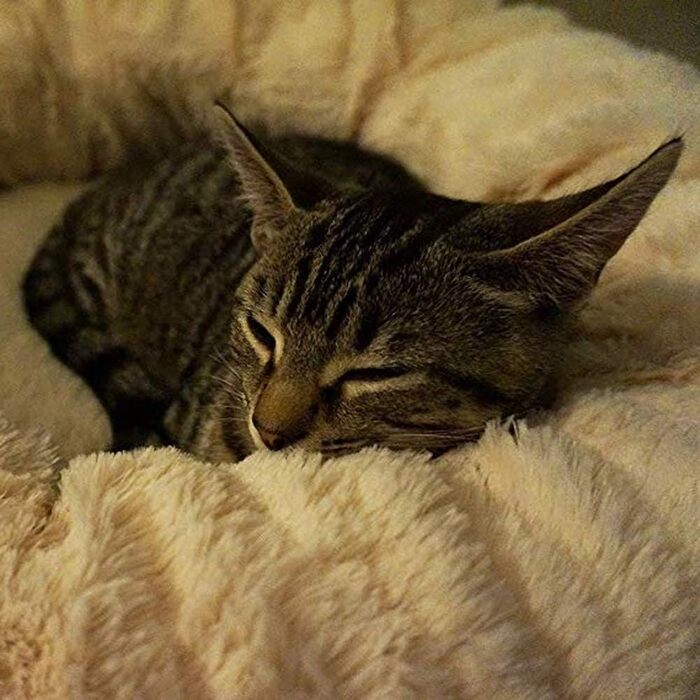 Кругле ліжко для кота/собаки Donut, 70 см, бежеве. М'яке, зручне, з густою оббивкою, для дому, миється.