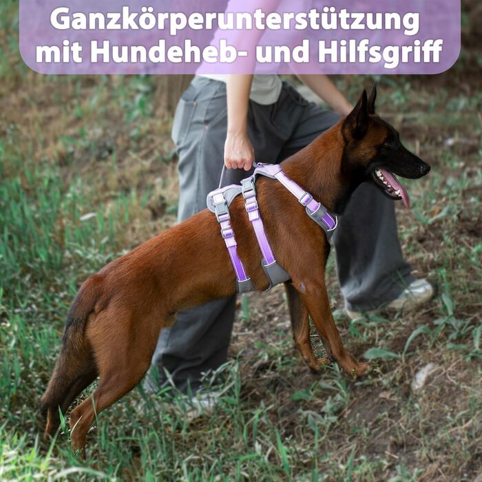 Шлейка Huntboo для собак - антистресова, з ручкою, для малеких, середніх та великих порід (S, M), лавандова