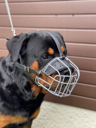 Міцний нашийник-маска для собак з дротяної сітки, Rottweiler, Mastiff, Golden Retriever та інші (шкіряний, чорний, R4)