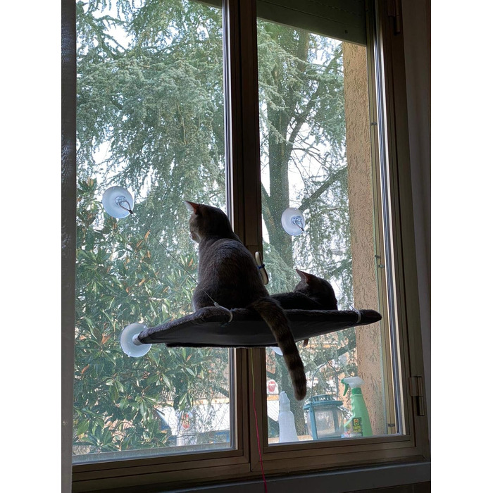 Підвіконна лежанка-гамак для котів Cat View з кріпленням на вікно
