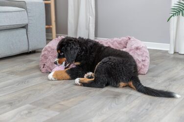 Ортопедичне ліжко для собак TRIXIE Vital Loki, 65x50 см, рожеве - м'яке ліжко з Memory Foam для маленьких собак, суглобово-захисне