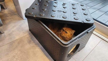 Великий будинок для кота Piocelan, міцна тепла будка 60x40x30 см