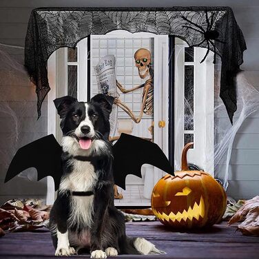 Костюм кажана для тварин: набір для кота та собаки, аксесуар для Хелловіну, косплей, вечірка, декор, чорний