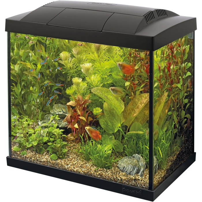 Акваріум SuperFish SF Tropical Set 30 чорний з фільтром, нагрівачем, кондиціонером для води, сачком, термометром і кормом