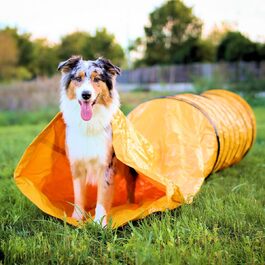 Тунель для собак Vabiono Agility Profi Sack - ігровий тунель для аджиліті, 60x300 см